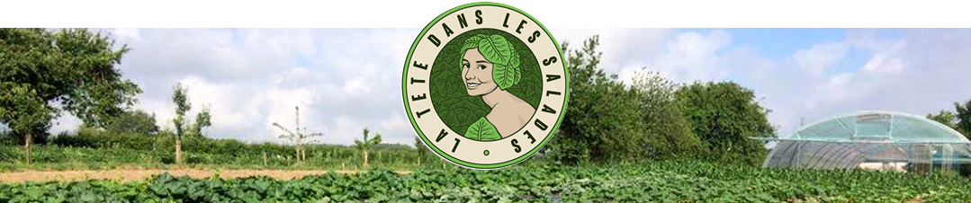 Bandeau la tête dans les salades